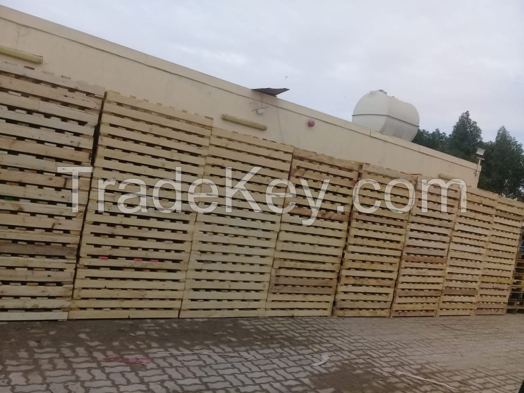 Used pallets 055540341