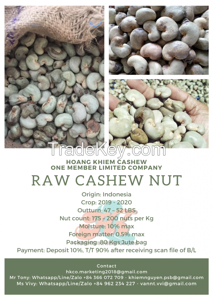 Indonesia Raw Cashew Nut In Shell