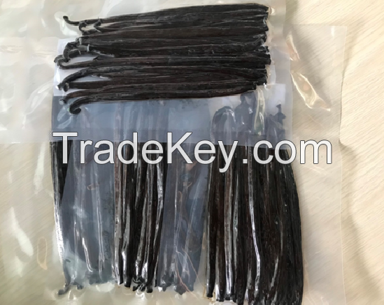 Indonesia Vanilla Bean 15-20cm