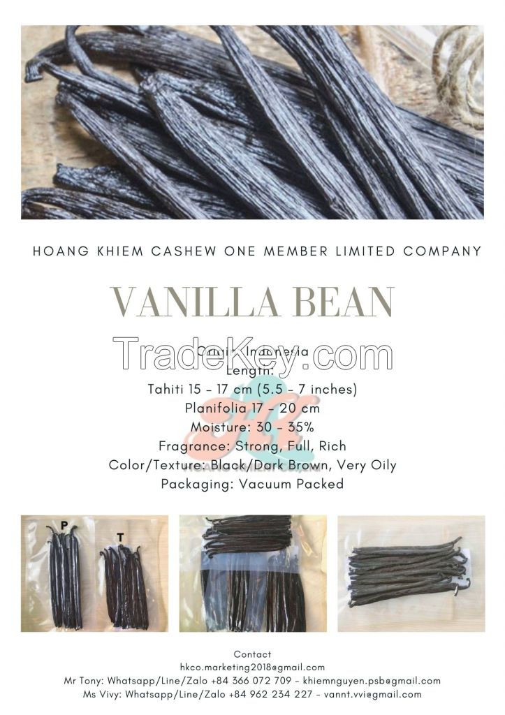 Indonesia Vanilla Bean 15-20cm