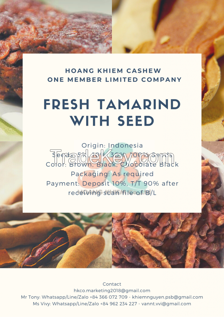 Indonesia High Quality Tamarind With Seed 