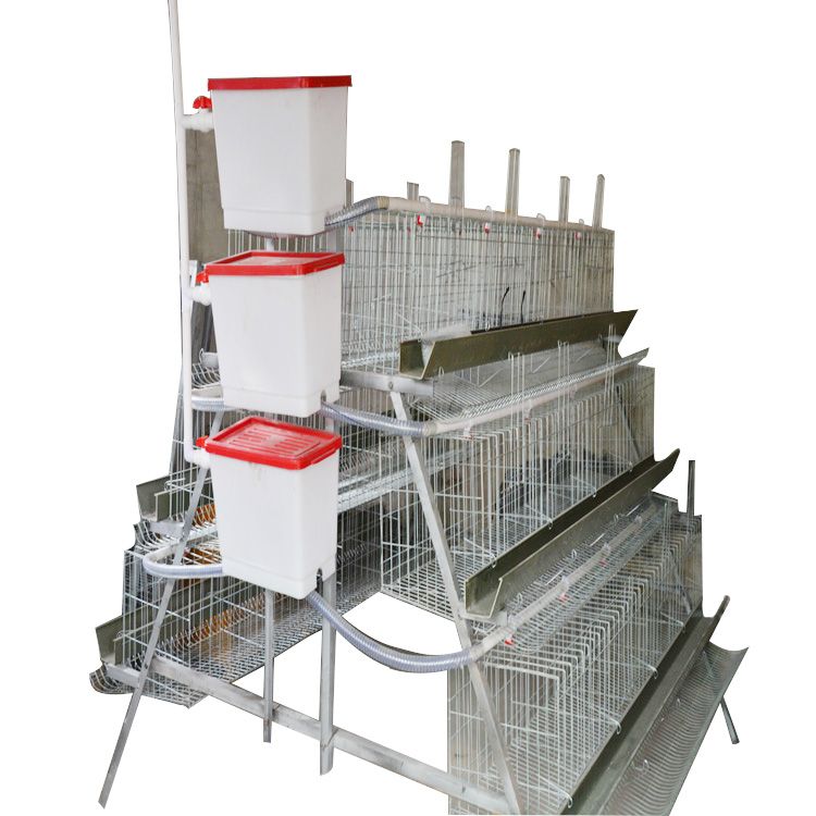 The Best Price Battery Chicken Cage For Chicken Farm Building