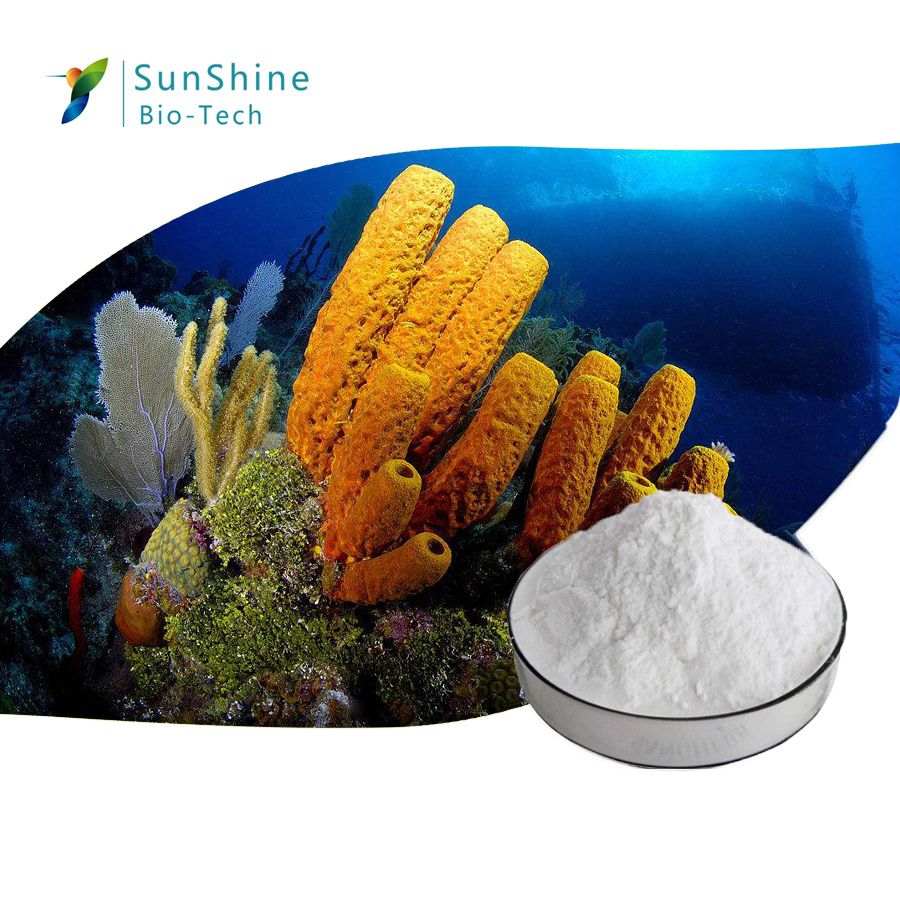 SQT Spongilla Spicules of Hydrolyzed Sponge Extract 