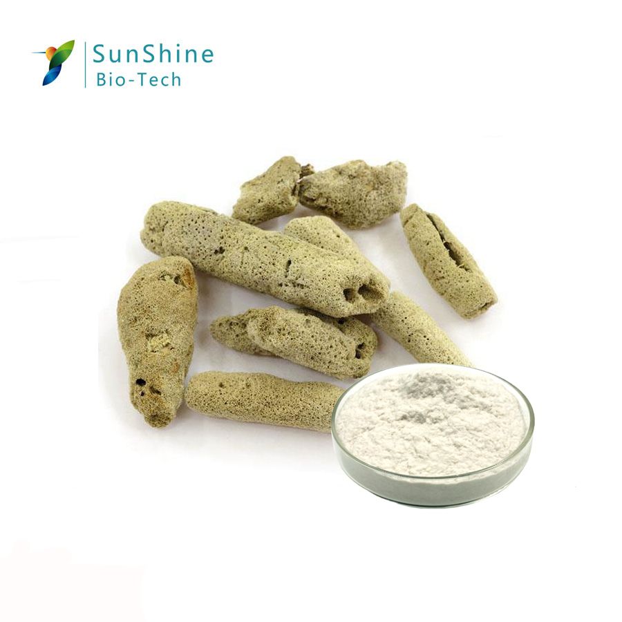 Factory Directly Supply Extract of  Freshwater Sponge skin care