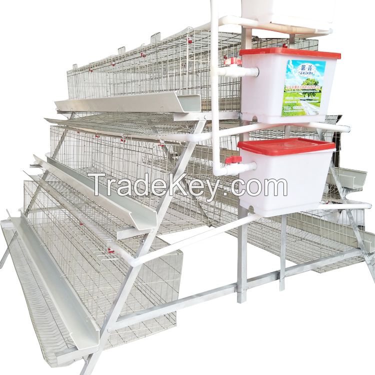 Best sale poultry battery egg layer cages for chicken