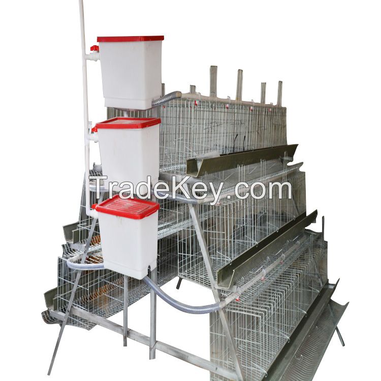 Automatic animal poultry layer chicken breeding cage for sale