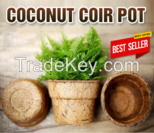 COCONUT FIBER POTS - COIR POTS