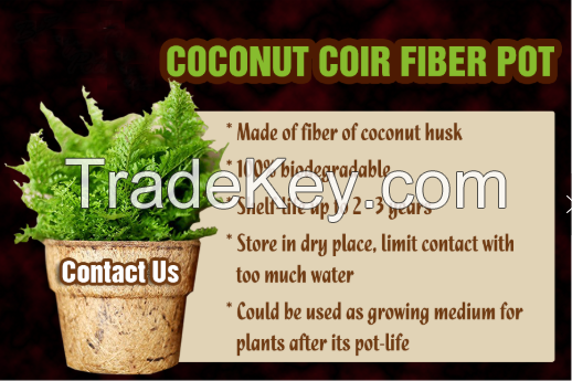 COCONUT FIBER POTS - COIR POTS