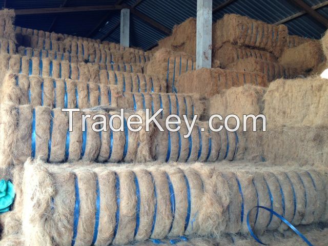 COIR FIBER - COCONUT FIBER