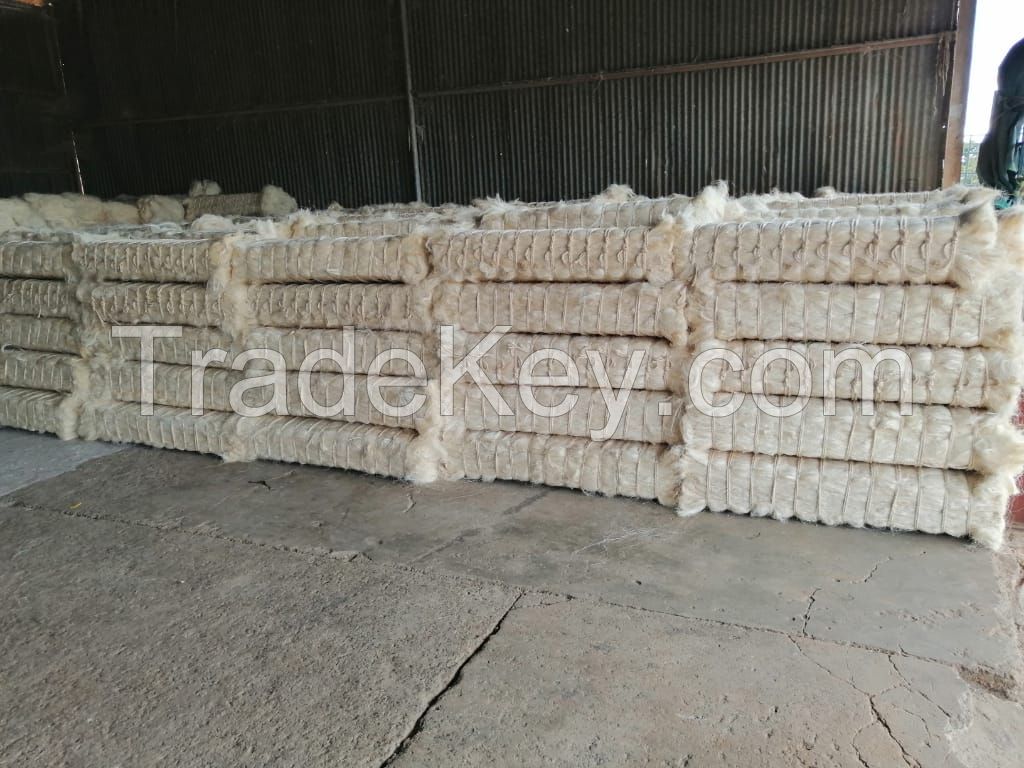 Sisal Fibre