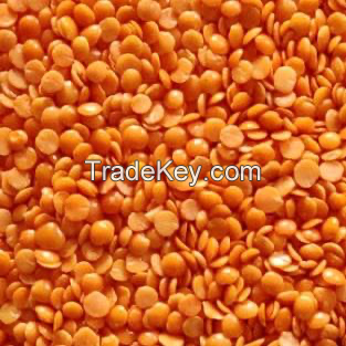 Red lentils for export From Canada