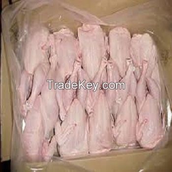 chicken,Halal Chicken Feet / Frozen Chicken Paws Brazil / Fresh chicken wings for export 