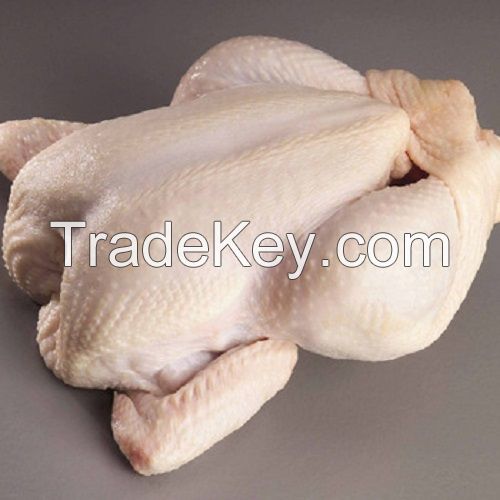 100% High Quality Brazilian Halal Whole Frozen Chicken 