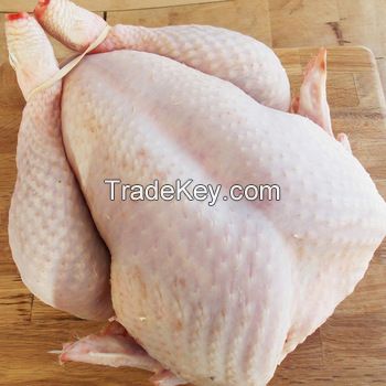 Brazilian Halal Frozen Whole Chicken, Chicken Parts premium Grade A