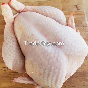 HALAL WHOLE FROZEN CHICKEN, CHICKEN FEET/PAWS, CHICKEN EGGS,CHICKEN BREAST FILLET, CHICKEN LEGS 