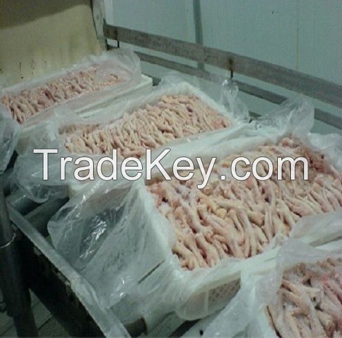 Halal Chicken Feet / Frozen Chicken Paws Brazil / Fresh chicken wings and foot