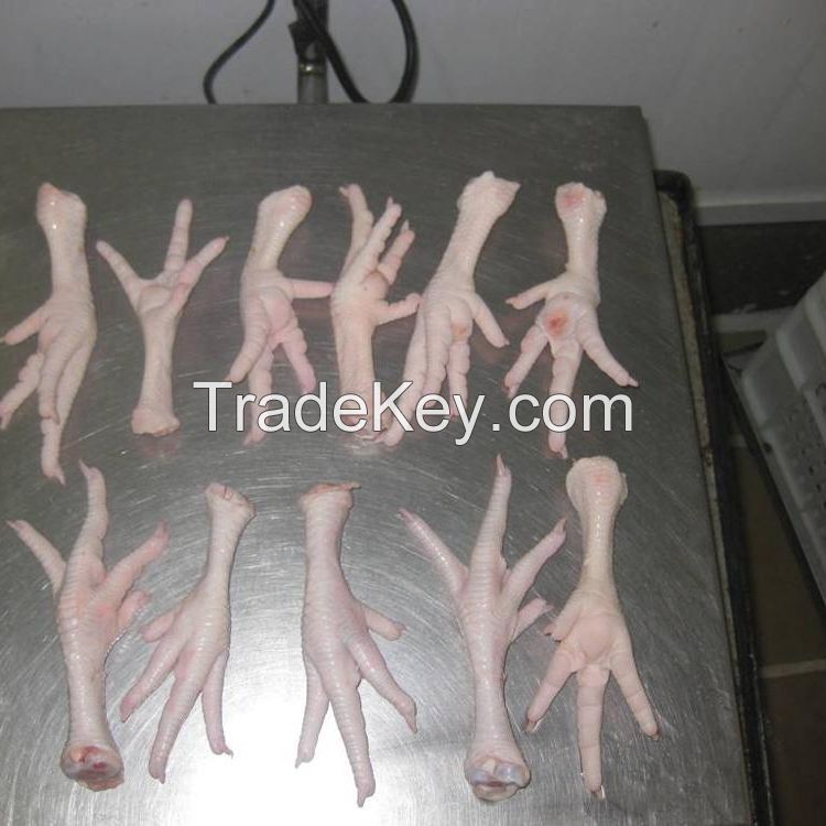 Get Top Quality Brazil Frozen Halal Certified Chicken of Grade A. 