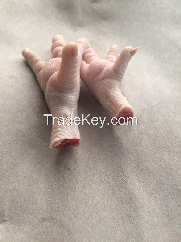 CHICKEN FEET, CHICKEN PAWS FOR WHOLESALE