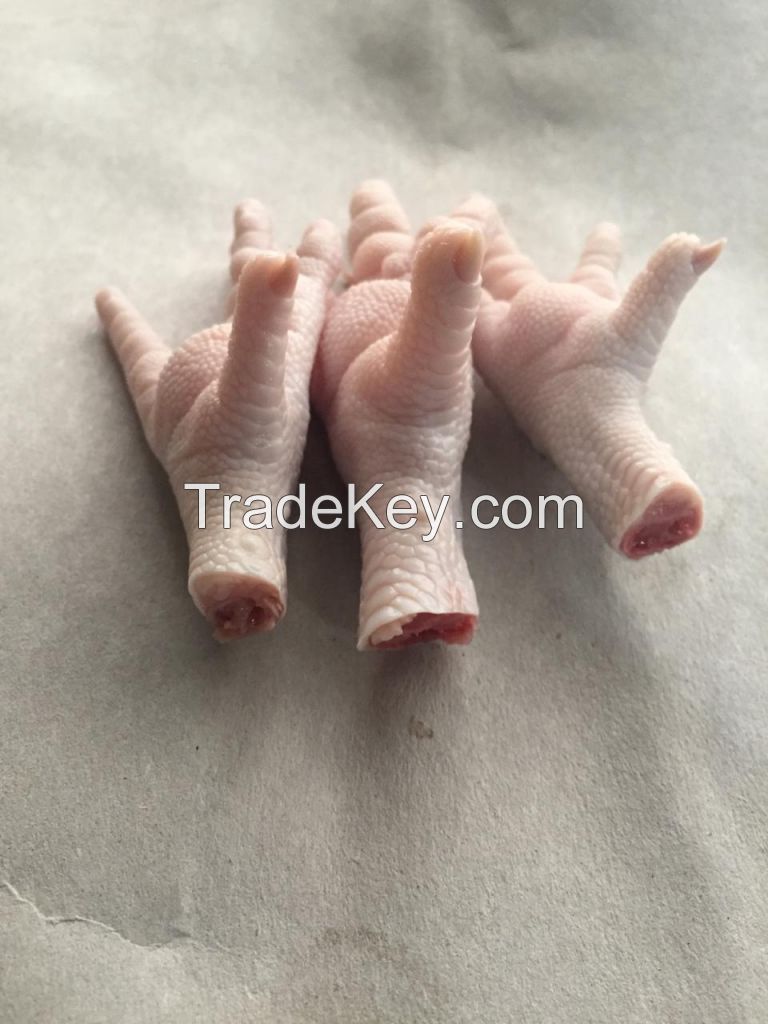 CHICKEN FEET, CHICKEN PAWS FOR WHOLESALE