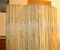 Bamboo Fencing