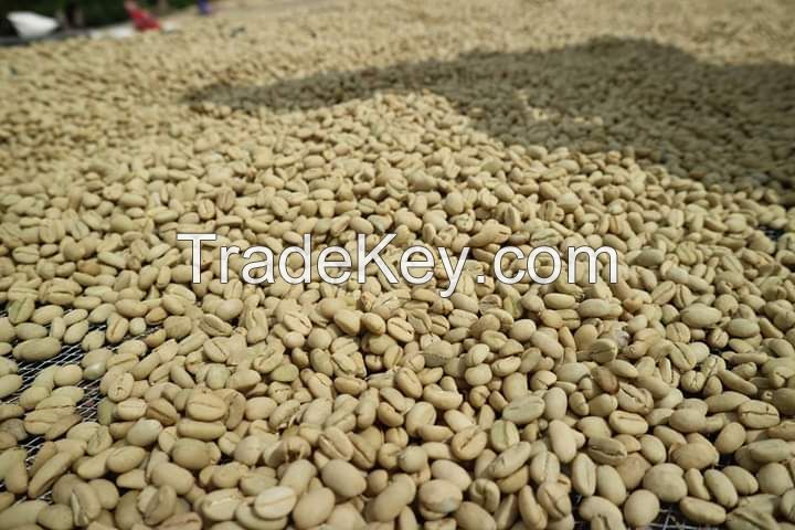 High Quality Arabica Coffee Beans