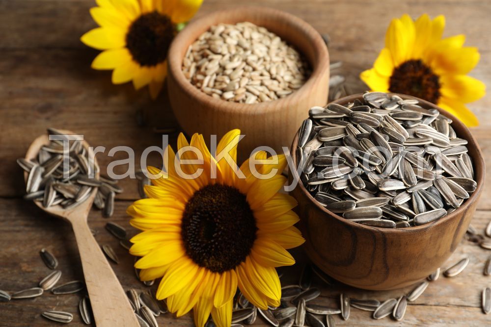 sunflower oil seeds, sunflower seeds for sale, buy sunflower seeds, sunflower seeds supplier