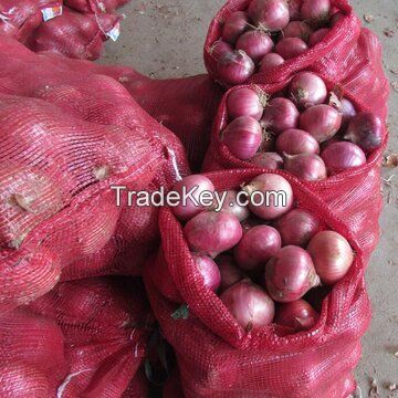 Premium Quality Onion At Wholesale Prices 