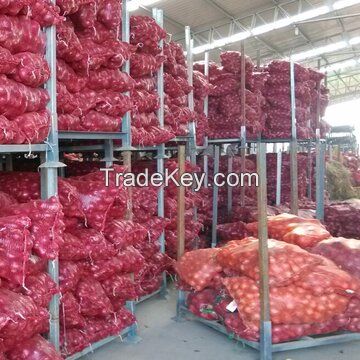 Premium Quality Onion At Wholesale Prices 