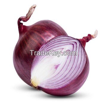 Premium Quality Onion At Wholesale Prices 