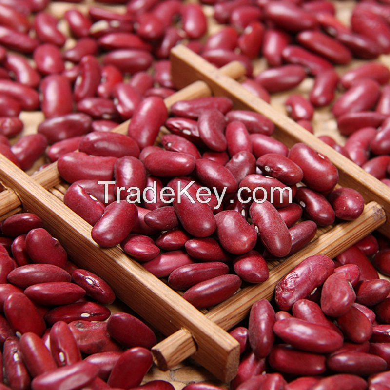 Red Kidney Beans 