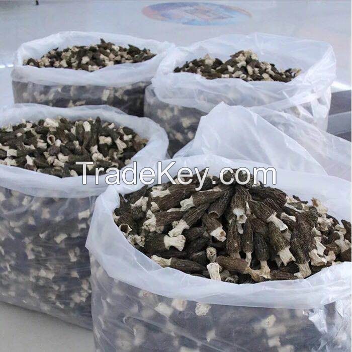 Dried Morel Mushroom
