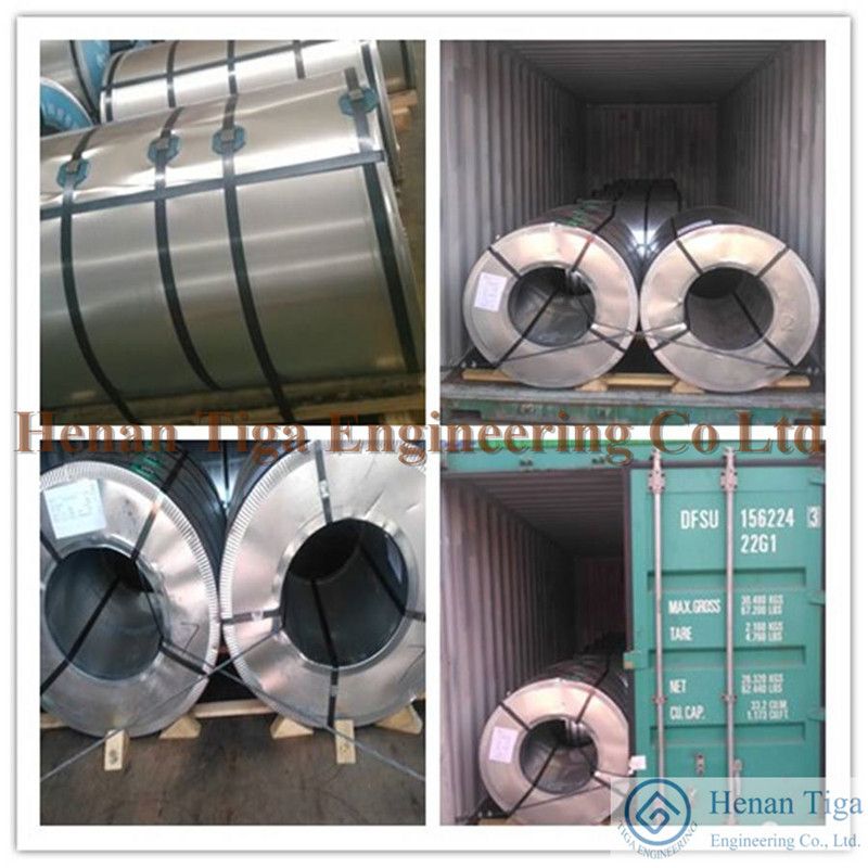 Tiga Factory Supply PPGI / Prepainted Galvanized Steel Strips