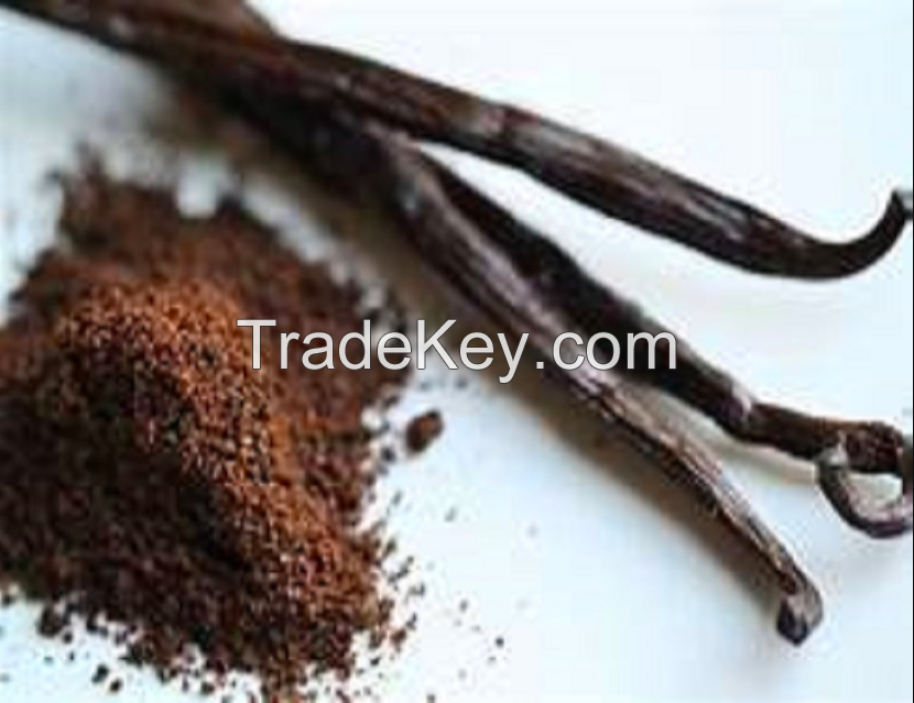 Madagascar Vanilla Beans with Low Moisture