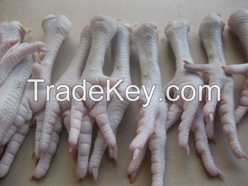 Frozen Halal Chicken Paws / Chicken Feet From Thailand For Sale In Bulk Premium Grade