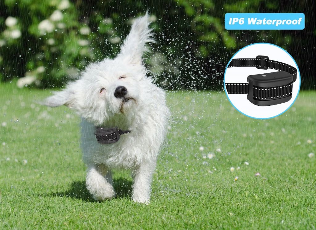 Rechargeable Dog Training Citronella Spray Anti Bark Control for dogs