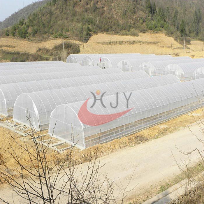 Agricultural Single Span Plastic Film Greenhouse  Agricultural Single Span Greenhouse