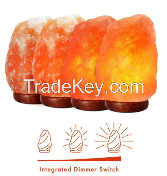 Himalayan salt light