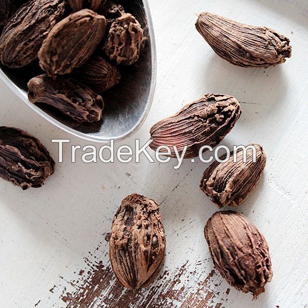 Cardamom Seeds Black Indian Spice