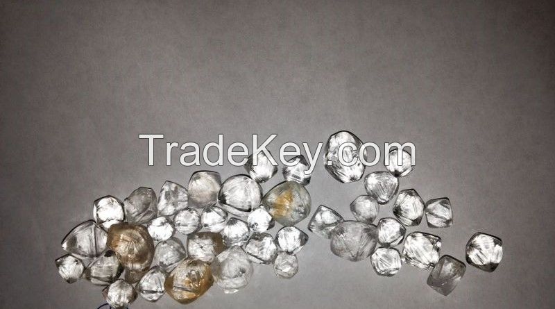 Rough Uncut White Diamonds 