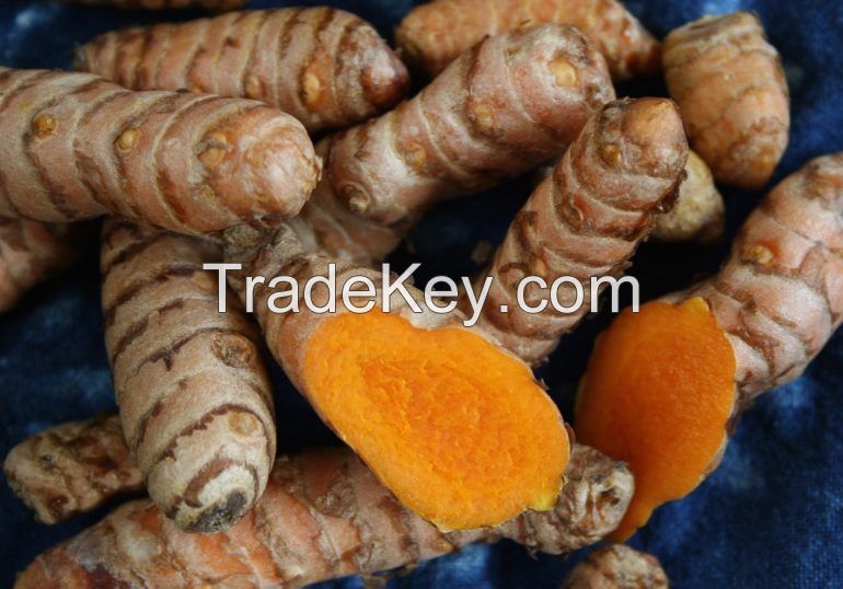 100$ NATURAL FRESH TURMERIC FROM VIETNAM