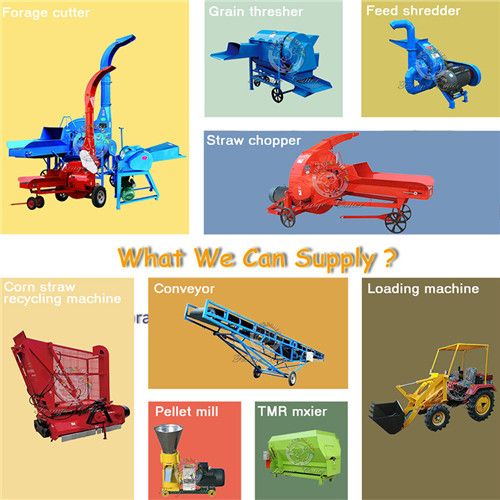 0.4t Chaff Cutter Grass Ensiling Process Hay Chopper Machine