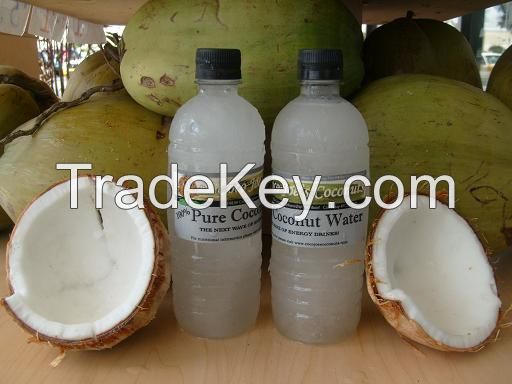 Coconut Water