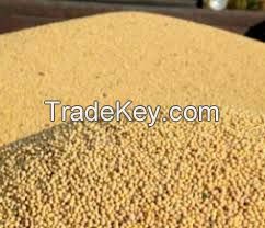  Soybean Meal