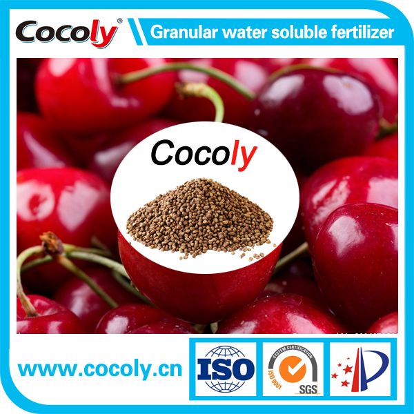 Best Slow Release Fertilizer Cocoly Granular Water Soluble Fertilizer