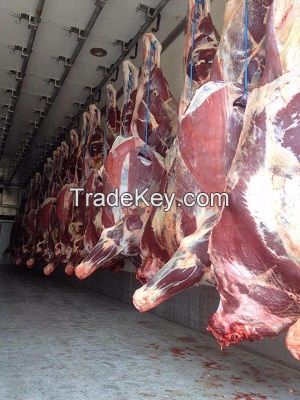 Frozen Beef Meat FOB Russia