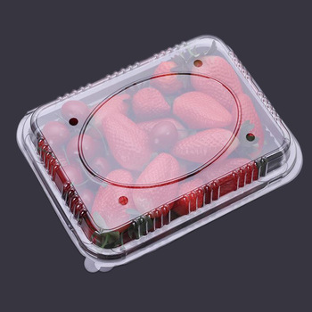 Vacuum Formed Blister Packaging Small Clear Rectangular Plastic Clamshell Box for Fruit Storage