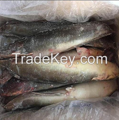 Fish Frozen,dried fish