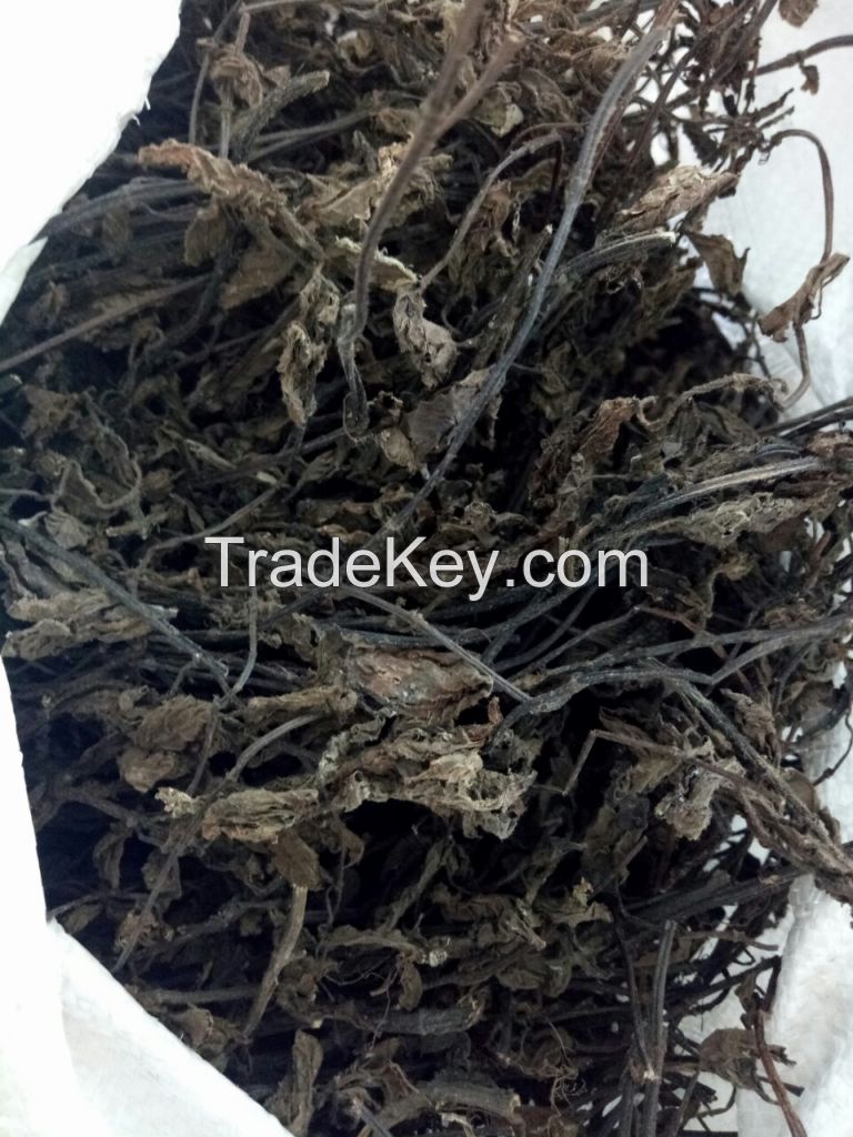 High quality Dried black grass jelly in bulk for export