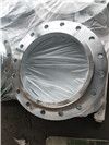 ANSI B16.5 Class 150/300/600/900 Forged Carbon/Stainless Steel Flanges