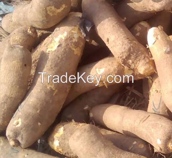 yam tuber, cassava flakes,melon,palm oil,yam flour, cassava flour, ogbono, bitter kola